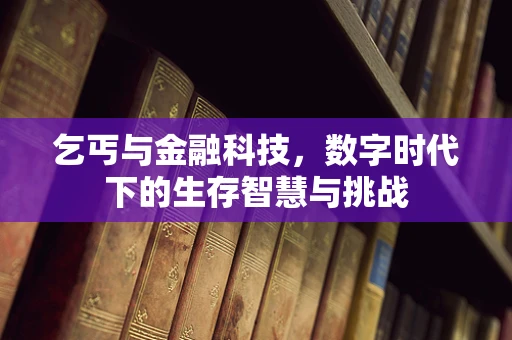 乞丐与金融科技，数字时代下的生存智慧与挑战