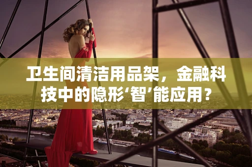 卫生间清洁用品架，金融科技中的隐形‘智’能应用？