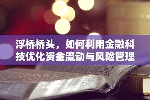 浮桥桥头，如何利用金融科技优化资金流动与风险管理？