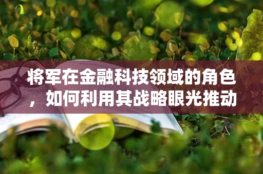 将军在金融科技领域的角色，如何利用其战略眼光推动创新与风险管理？