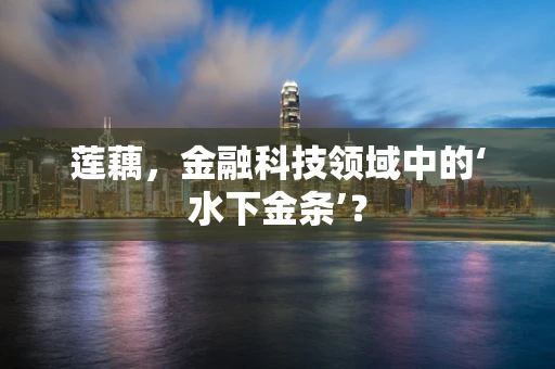 莲藕，金融科技领域中的‘水下金条’？