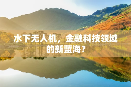 水下无人机，金融科技领域的新蓝海？