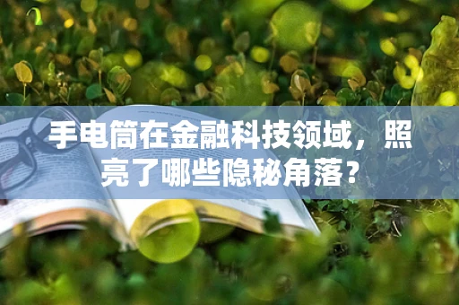 手电筒在金融科技领域，照亮了哪些隐秘角落？
