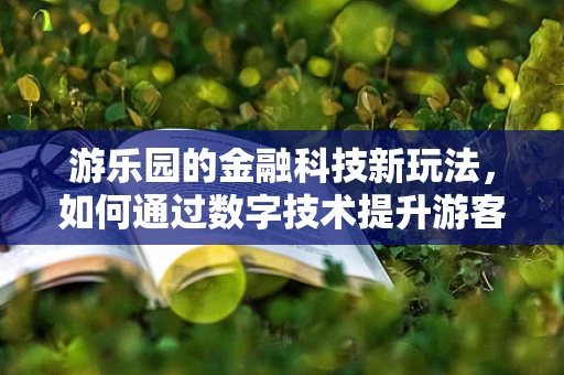 游乐园的金融科技新玩法，如何通过数字技术提升游客体验？
