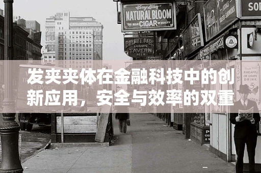 发夹夹体在金融科技中的创新应用，安全与效率的双重保障？