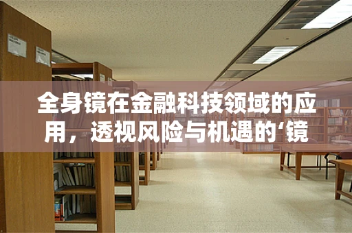 全身镜在金融科技领域的应用，透视风险与机遇的‘镜像’