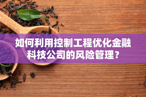 如何利用控制工程优化金融科技公司的风险管理？