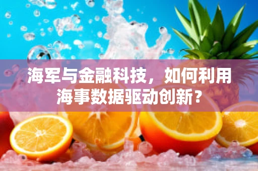 海军与金融科技，如何利用海事数据驱动创新？