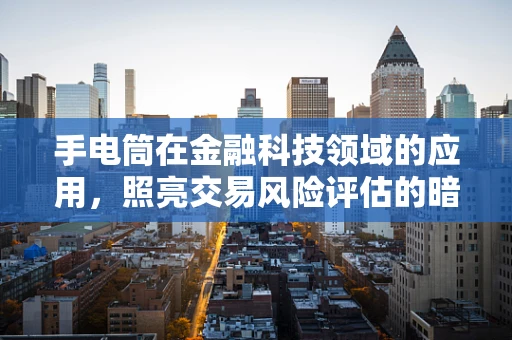 手电筒在金融科技领域的应用，照亮交易风险评估的暗区？