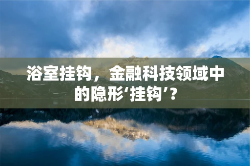 浴室挂钩，金融科技领域中的隐形‘挂钩’？