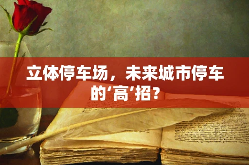 立体停车场，未来城市停车的‘高’招？