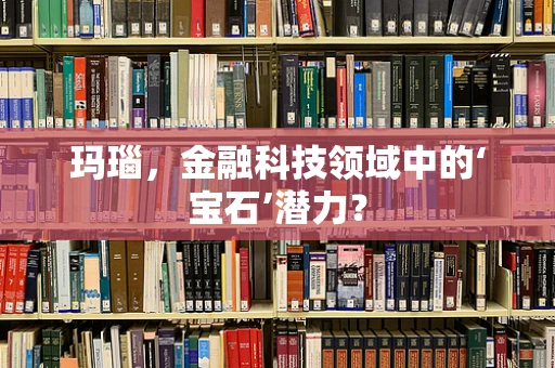 玛瑙，金融科技领域中的‘宝石’潜力？