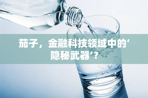 茄子，金融科技领域中的‘隐秘武器’？