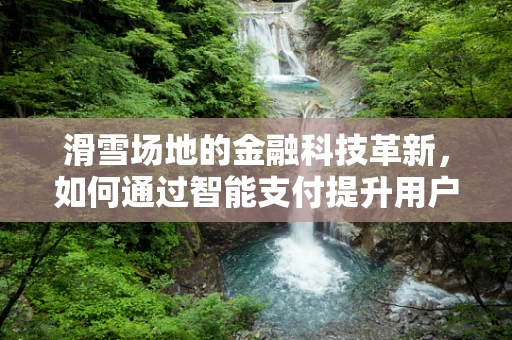 滑雪场地的金融科技革新，如何通过智能支付提升用户体验？