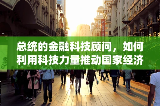 总统的金融科技顾问，如何利用科技力量推动国家经济发展？