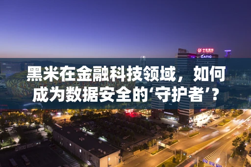 黑米在金融科技领域，如何成为数据安全的‘守护者’？