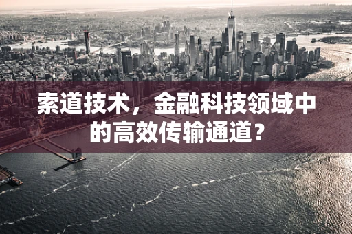索道技术，金融科技领域中的高效传输通道？