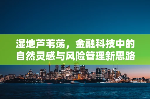 湿地芦苇荡，金融科技中的自然灵感与风险管理新思路？