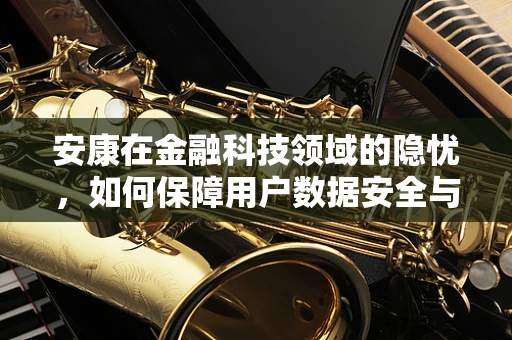 安康在金融科技领域的隐忧，如何保障用户数据安全与隐私？