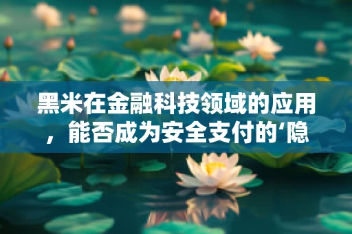 黑米在金融科技领域的应用，能否成为安全支付的‘隐形卫士’？