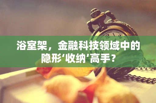 浴室架，金融科技领域中的隐形‘收纳’高手？