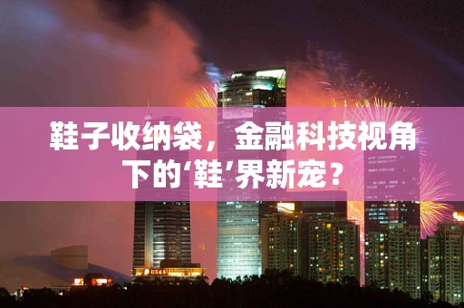 鞋子收纳袋，金融科技视角下的‘鞋’界新宠？