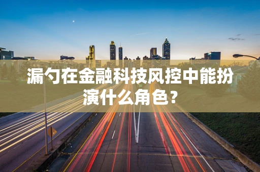 漏勺在金融科技风控中能扮演什么角色？