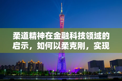 柔道精神在金融科技领域的启示，如何以柔克刚，实现稳健创新？