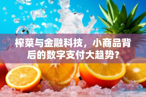 榨菜与金融科技，小商品背后的数字支付大趋势？