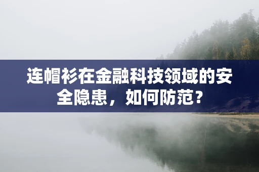 连帽衫在金融科技领域的安全隐患，如何防范？