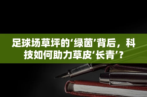足球场草坪的‘绿茵’背后，科技如何助力草皮‘长青’？