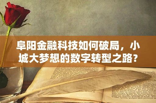 阜阳金融科技如何破局，小城大梦想的数字转型之路？
