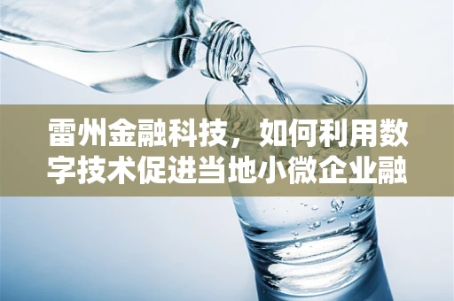 雷州金融科技，如何利用数字技术促进当地小微企业融资？