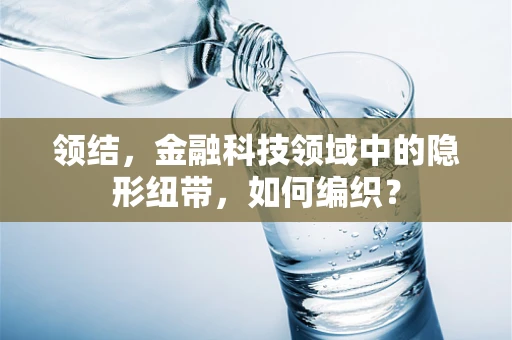 领结，金融科技领域中的隐形纽带，如何编织？