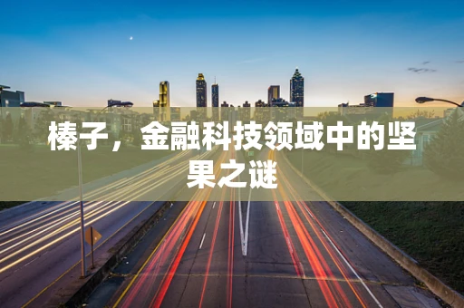 榛子，金融科技领域中的坚果之谜
