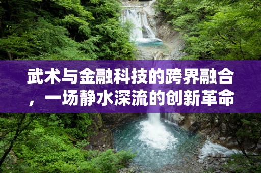 武术与金融科技的跨界融合，一场静水深流的创新革命？