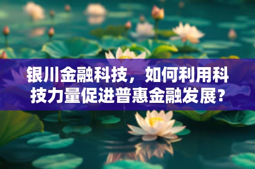 银川金融科技，如何利用科技力量促进普惠金融发展？