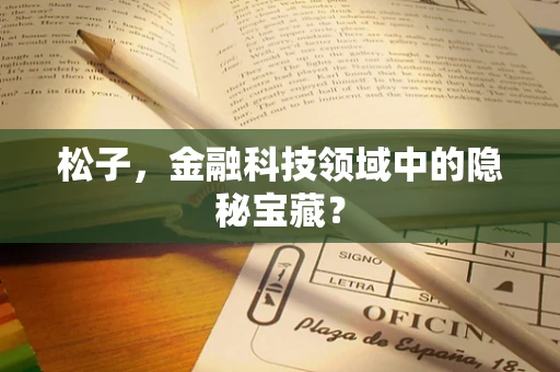 松子，金融科技领域中的隐秘宝藏？