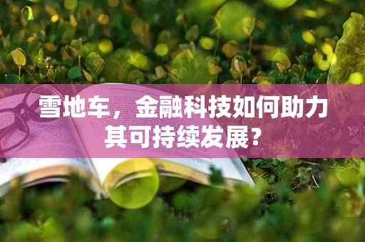 雪地车，金融科技如何助力其可持续发展？