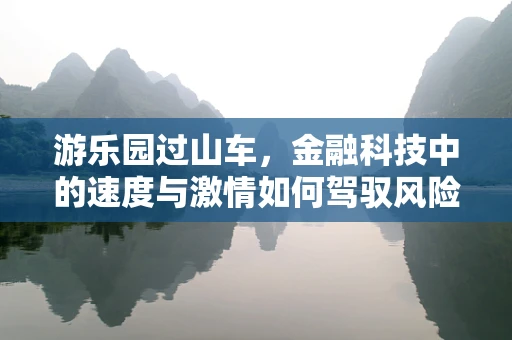 游乐园过山车，金融科技中的速度与激情如何驾驭风险管理？