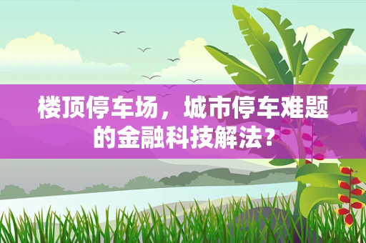 楼顶停车场，城市停车难题的金融科技解法？