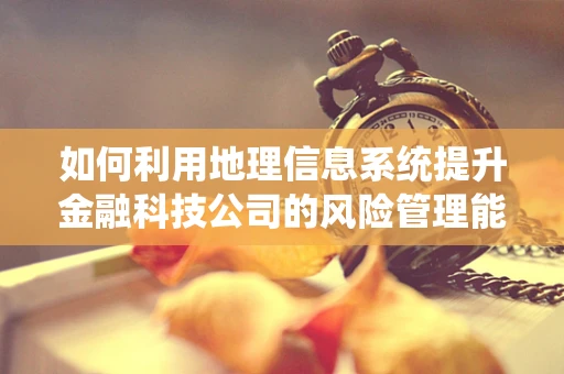如何利用地理信息系统提升金融科技公司的风险管理能力？