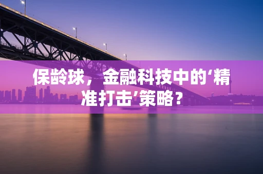 保龄球，金融科技中的‘精准打击’策略？
