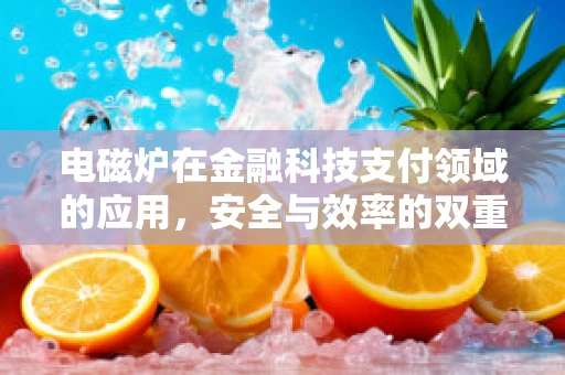 电磁炉在金融科技支付领域的应用，安全与效率的双重挑战？