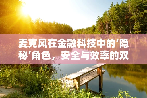 麦克风在金融科技中的‘隐秘’角色，安全与效率的双重守护者？