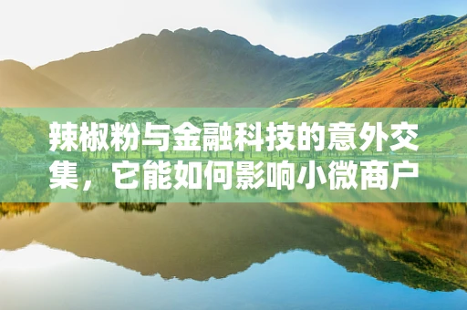 辣椒粉与金融科技的意外交集，它能如何影响小微商户的支付安全？