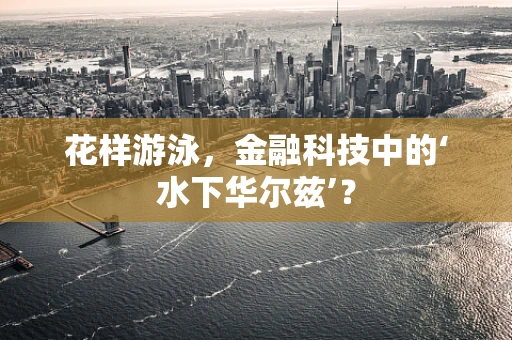 花样游泳，金融科技中的‘水下华尔兹’？