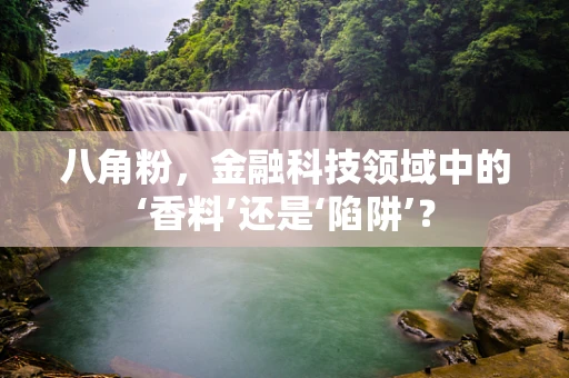 八角粉，金融科技领域中的‘香料’还是‘陷阱’？