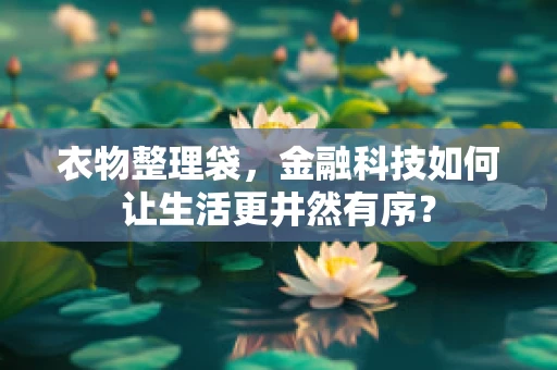 衣物整理袋，金融科技如何让生活更井然有序？