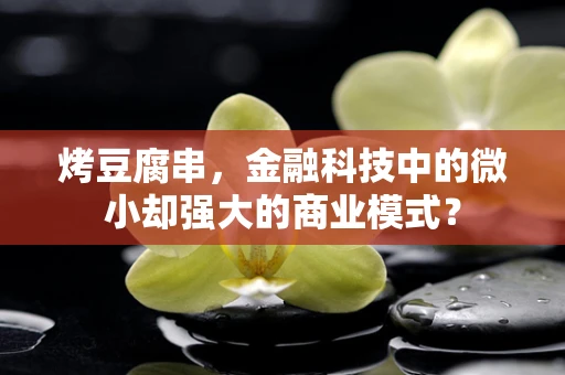 烤豆腐串，金融科技中的微小却强大的商业模式？